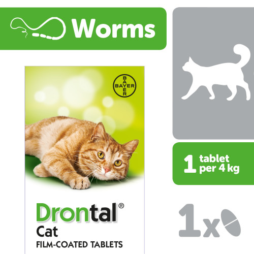 Drontal Cat Worming