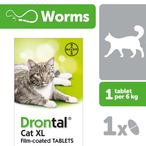 Drontal Cat XL Worming Tablets