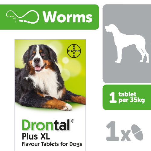 Drontal Plus XL Flavour Dog Worming Tablets