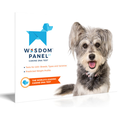 Wisdom Panel 2.0 Dog DNA Testing Kit