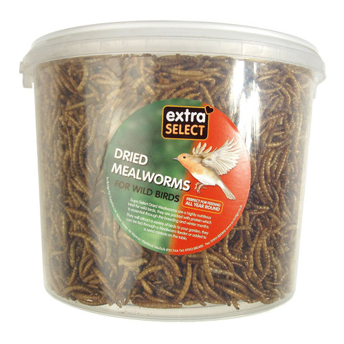 Extra Select Mealworms for Wild Birds