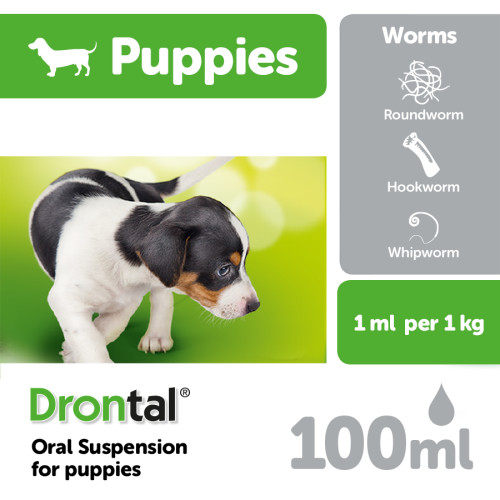 Drontal Puppy Worming Oral Suspension