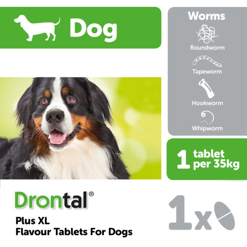 Drontal Plus XL Flavour Dog Worming Tablets
