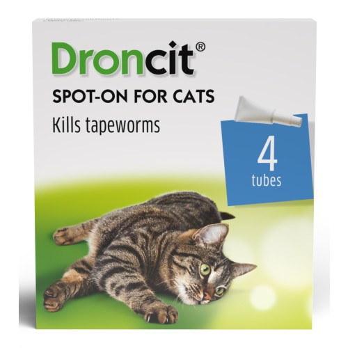 Droncit Spot On Tapewormer Wormer for Cats 20mg - 4 Pipettes