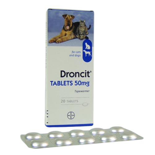 droncit for dogs droncit tablets for cats dogs from 163 1 39 droncit for dogs droncit tablets for cats dogs from 163 1 39