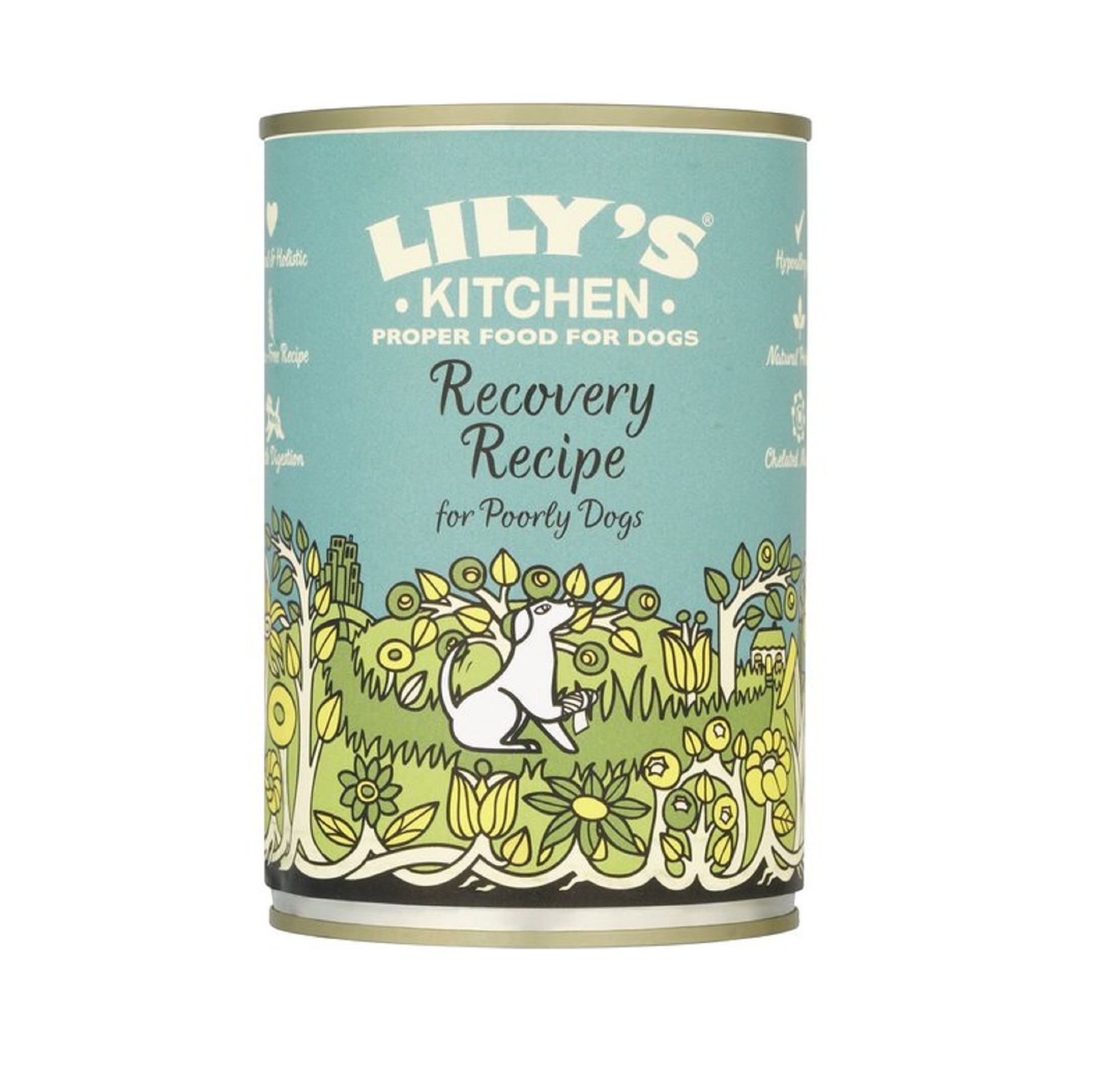 Lily S Kitchen Recovery Receipe Dog Food Lily S Kitchen Recovery Receipe Dog Food