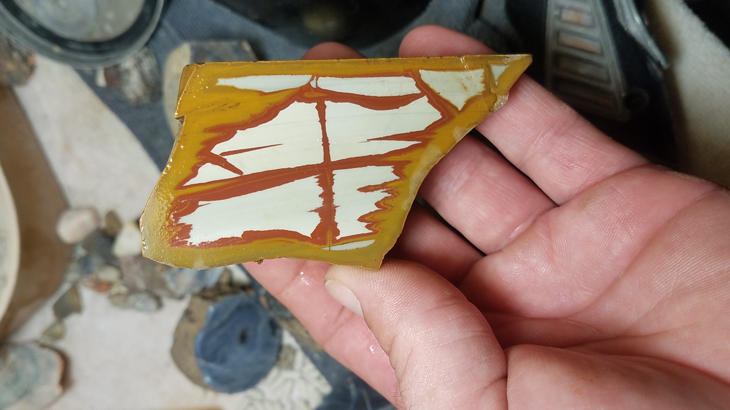 Owyhee Jasper? Rock Tumbling Hobby