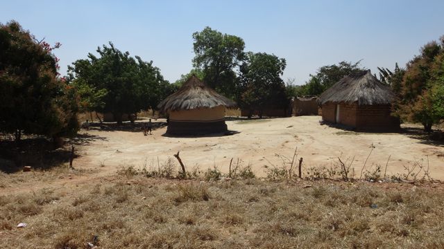 Village in a Bush