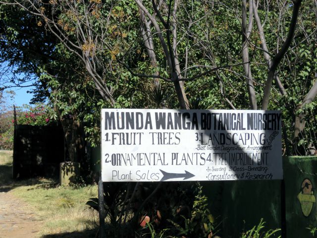 Munda Wanga Botanical Nursery