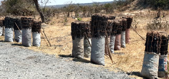 Charcoal Exibit