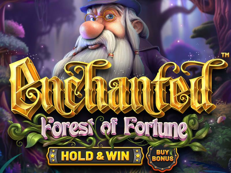 Enchanted Forest of Fortune