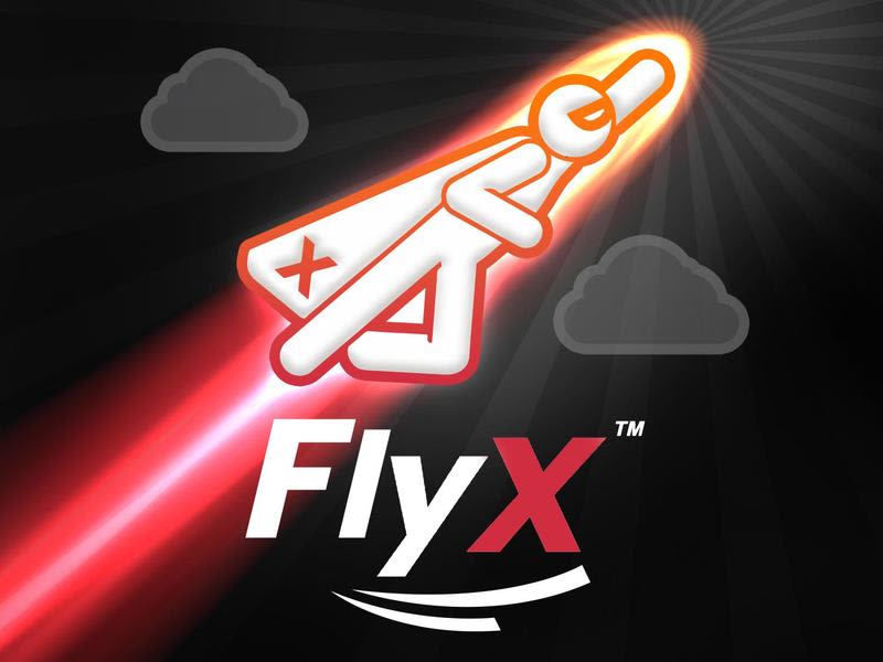 FlyX