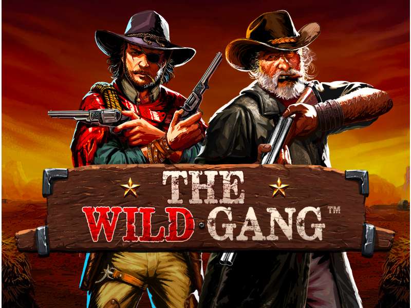 The Wild Gang