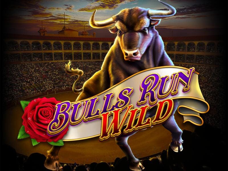 Bulls Run Wild