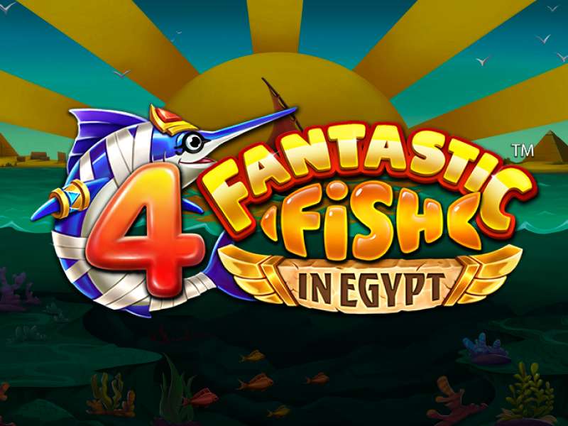 4 Fantastic Fish In Egypt