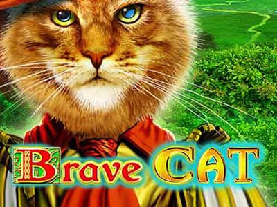 Brave Cat