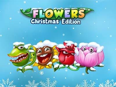 Flowers Christmas Edition