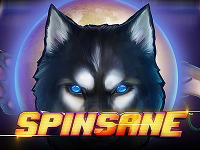 Spinsane