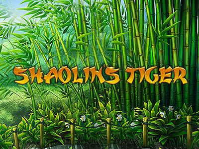 Shaolin's Tiger