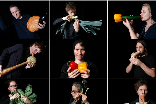 Vegetable Orchestra Vegetable Orchestra