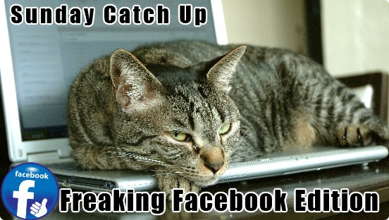 The Facebook Fanpage Challenge fast approaches on 15th April and to get you warmed up I thought a round up of Facebook based posts would be a good idea.  So here goes...