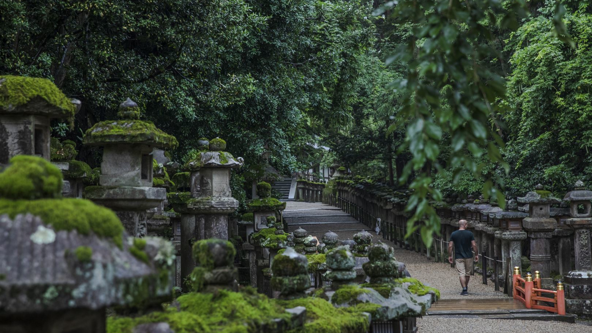 Click to view large image Journeys: Iconic Japan