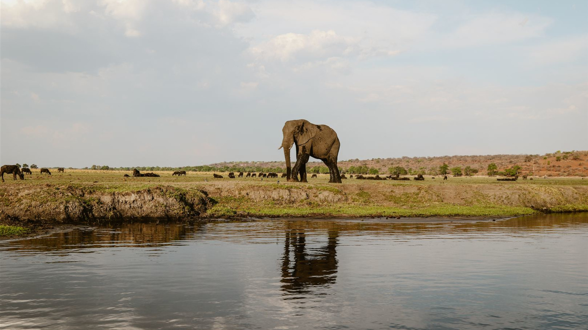 Click to view large image Botswana & Zimbabwe Lodge Safari
