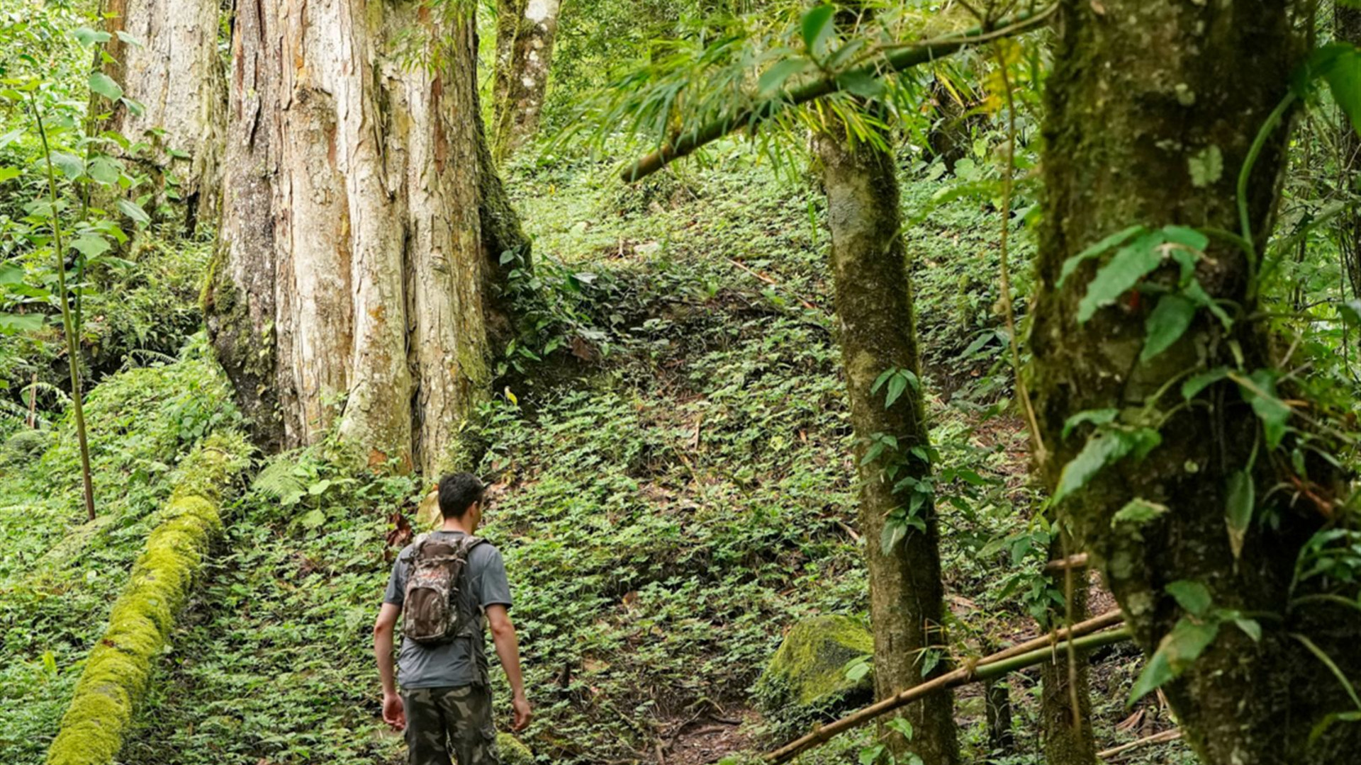 Click to view large image Costa Rica & Panama Discovery