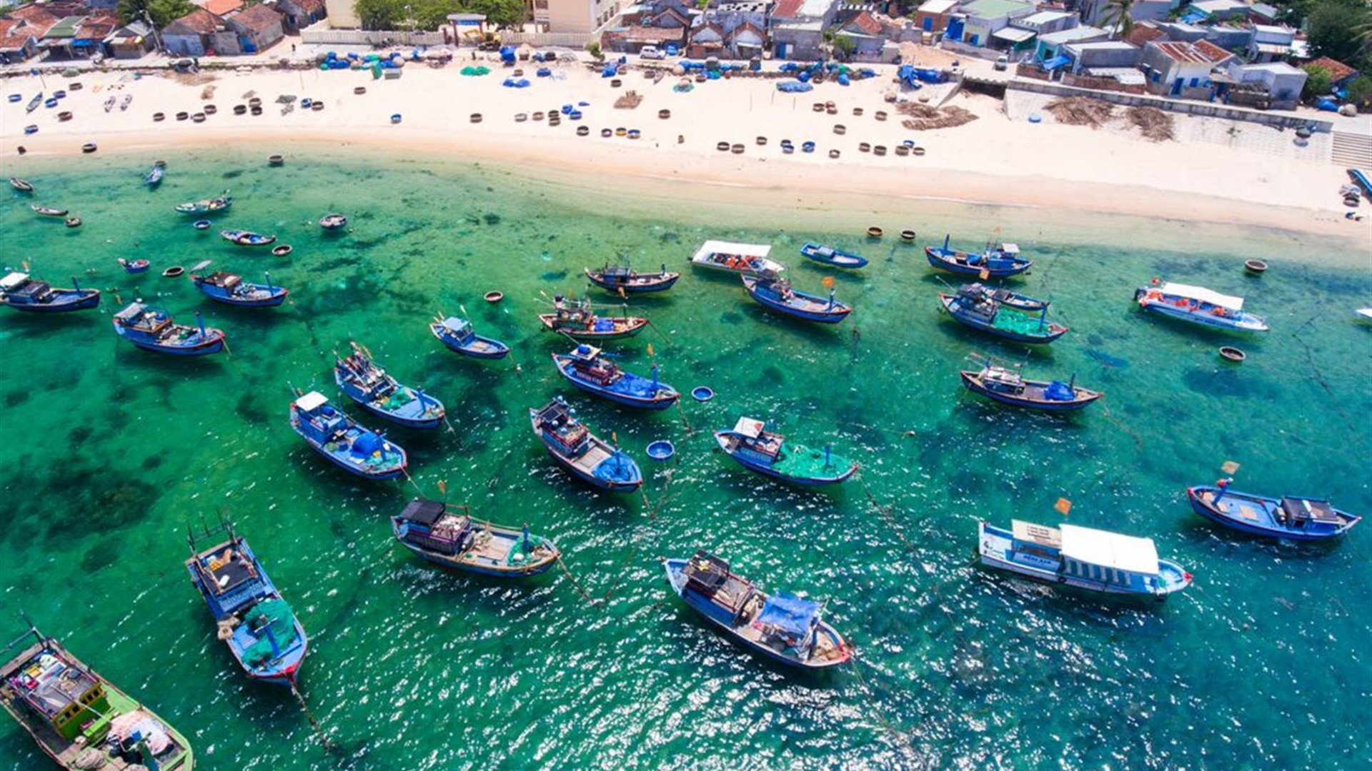 Click to view large image Essential Vietnam