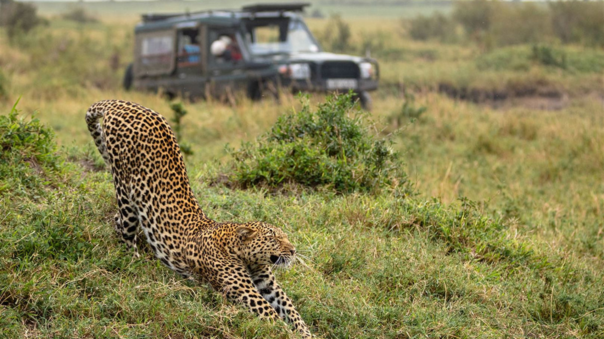 Click to view large image Real East Africa & Zanzibar
