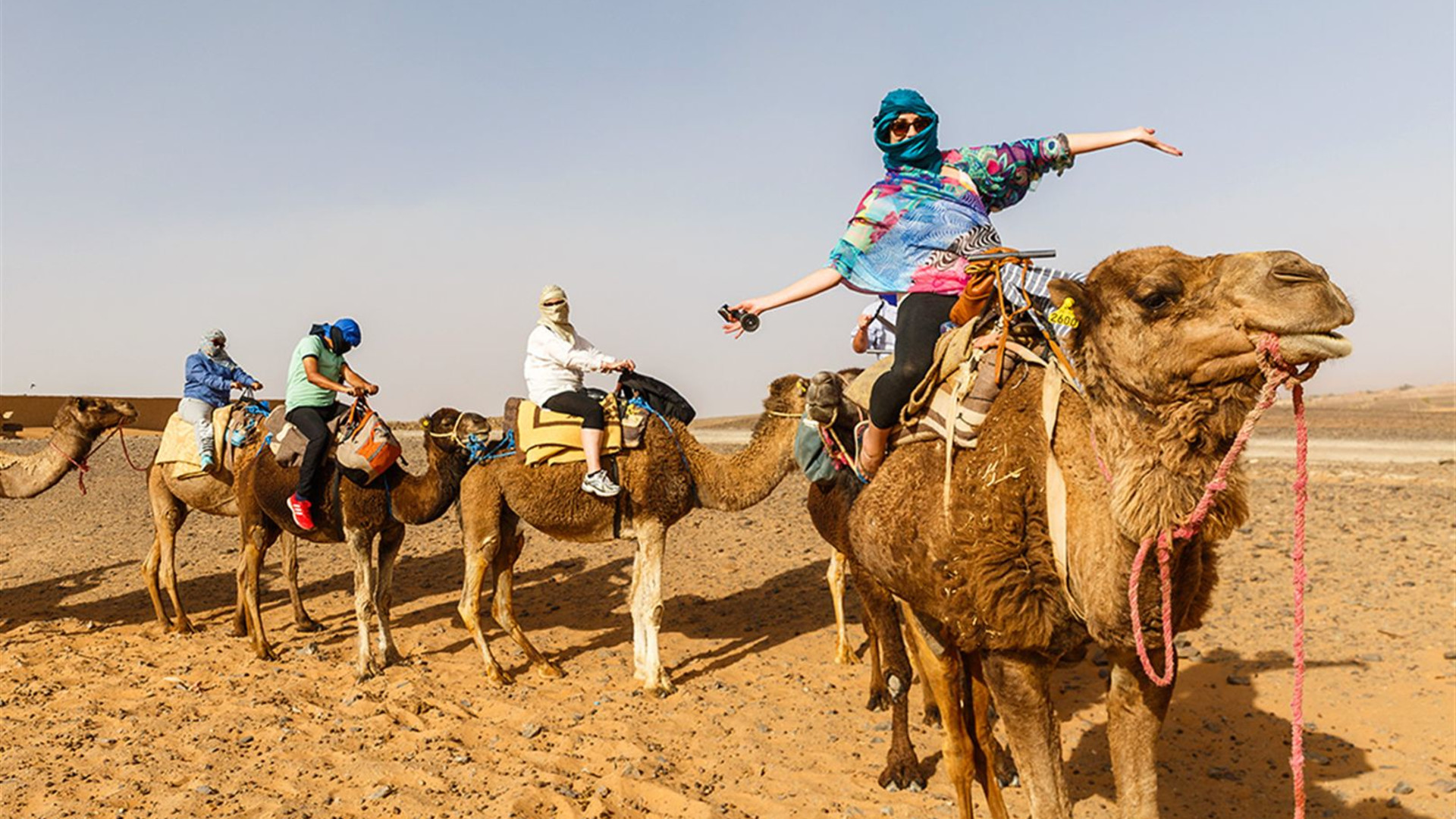 Click to view large image Best of Morocco
