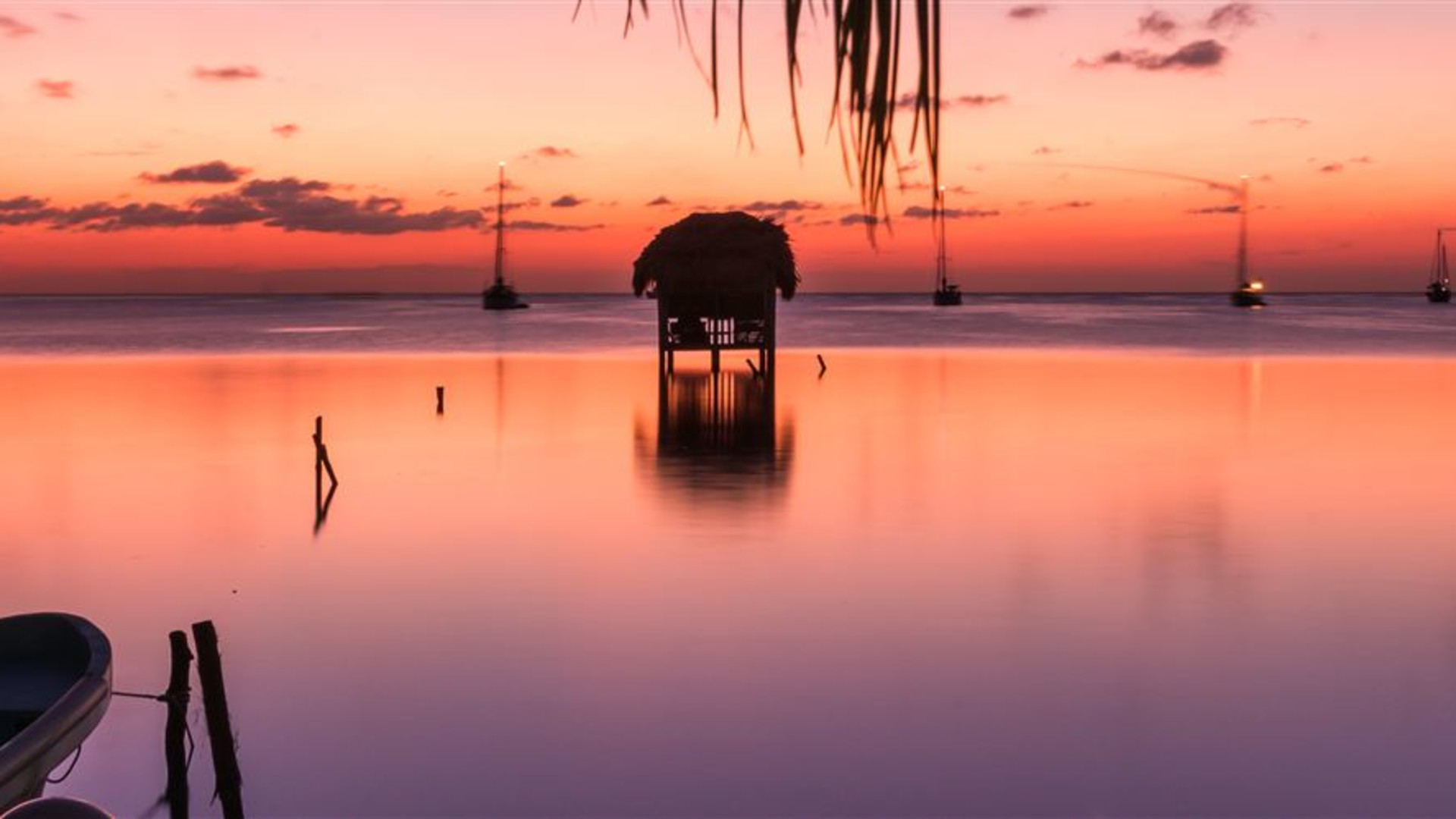Click to view large image Maya Encounter