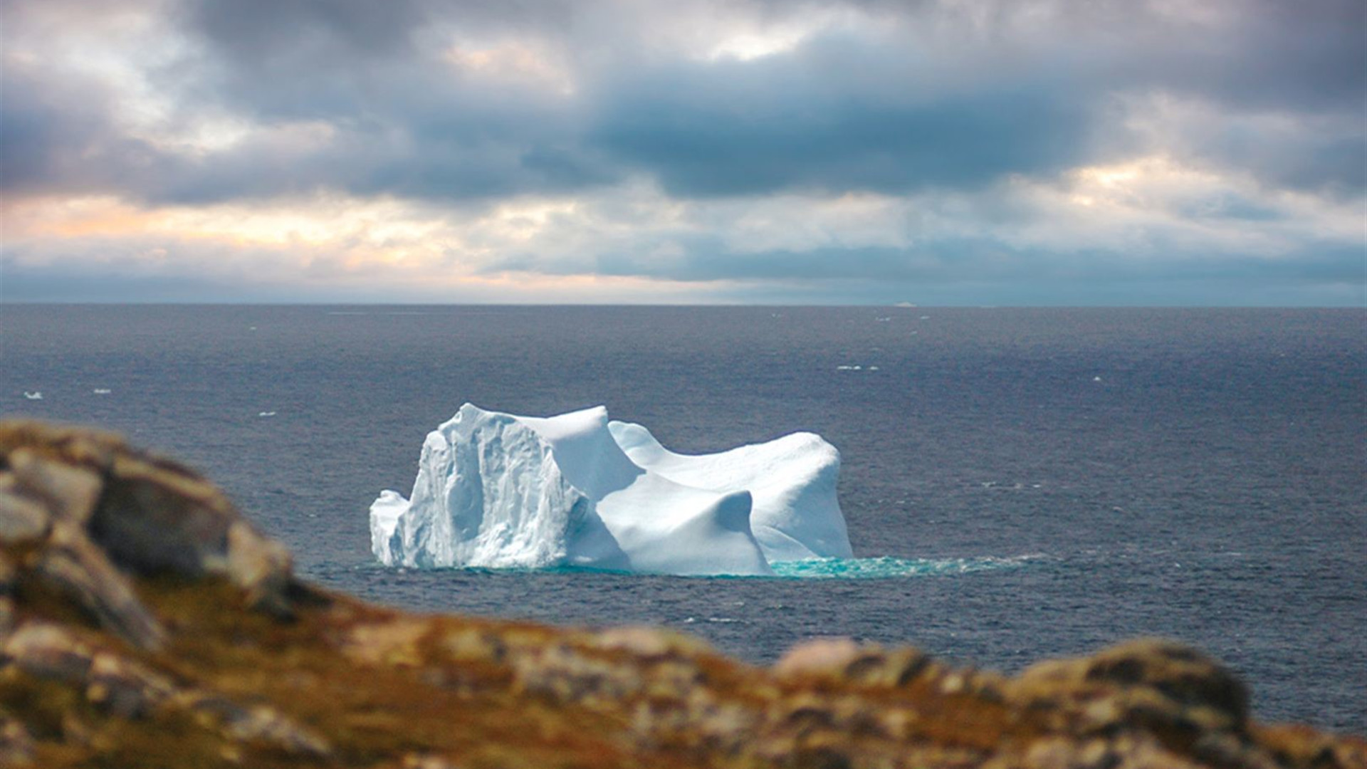 Click to view large image Newfoundland Adventure: Eastbound