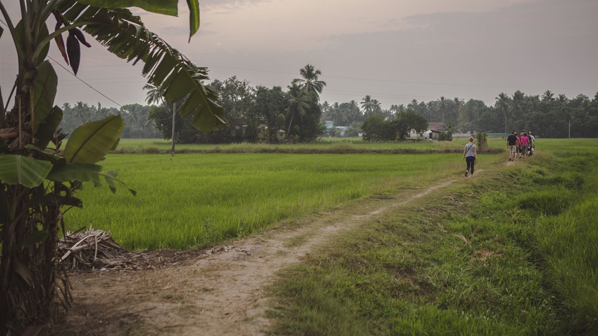 Click to view large image Kerala: Beaches & Backwaters
