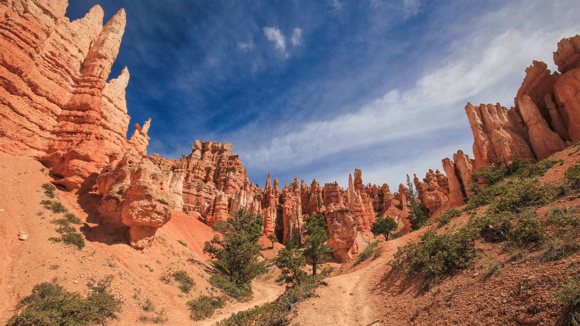 Click to view large image USA Road Trip: Big Cities & West Coast Parks