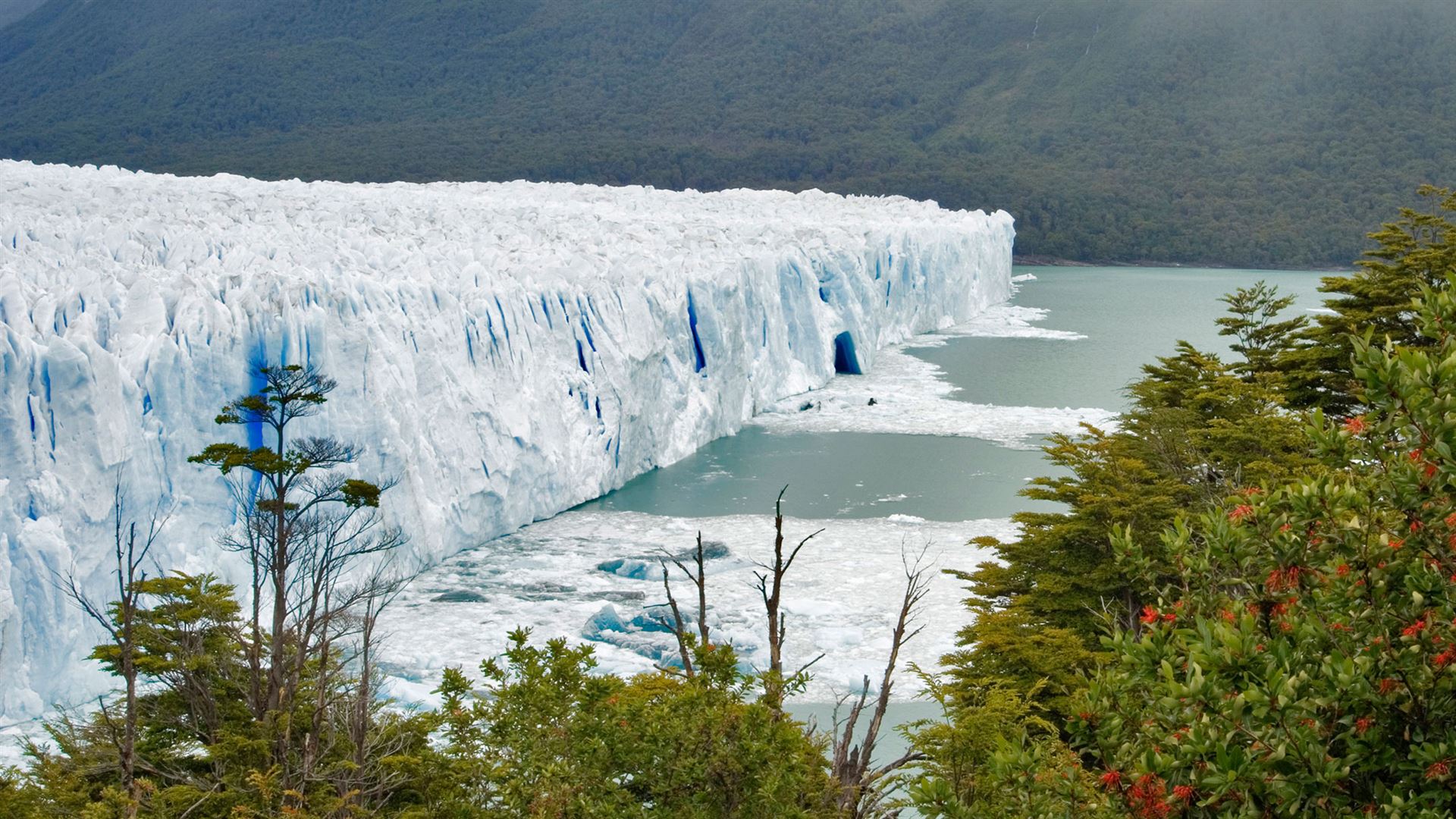 Click to view large image Journeys: Discover Patagonia