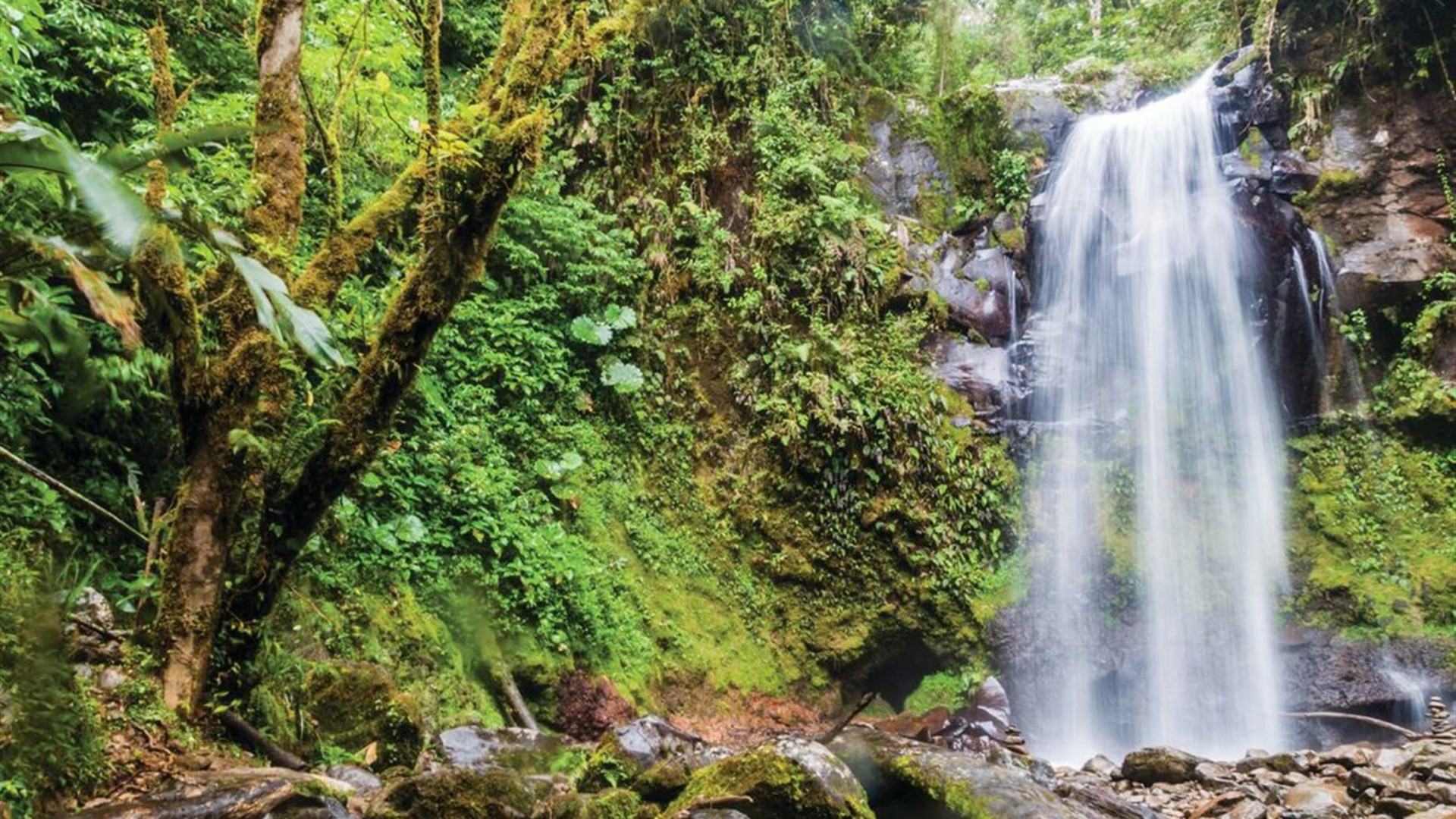Click to view large image Ultimate Central America