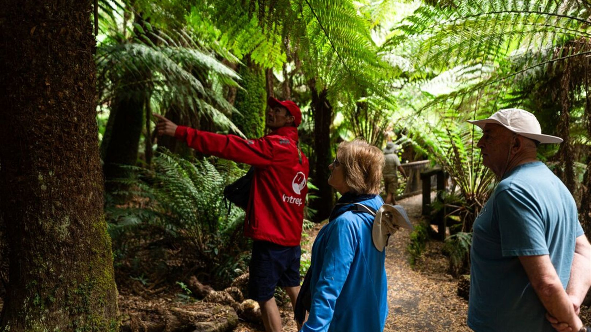 Click to view large image Best of Tasmania