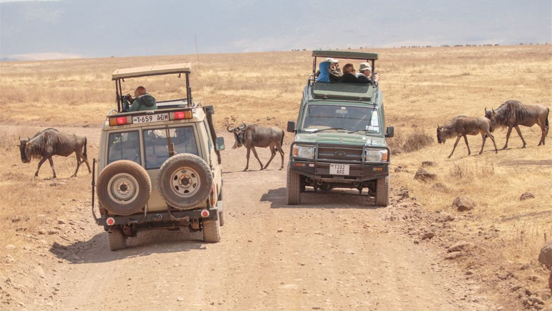 Click to view large image Essential East Africa