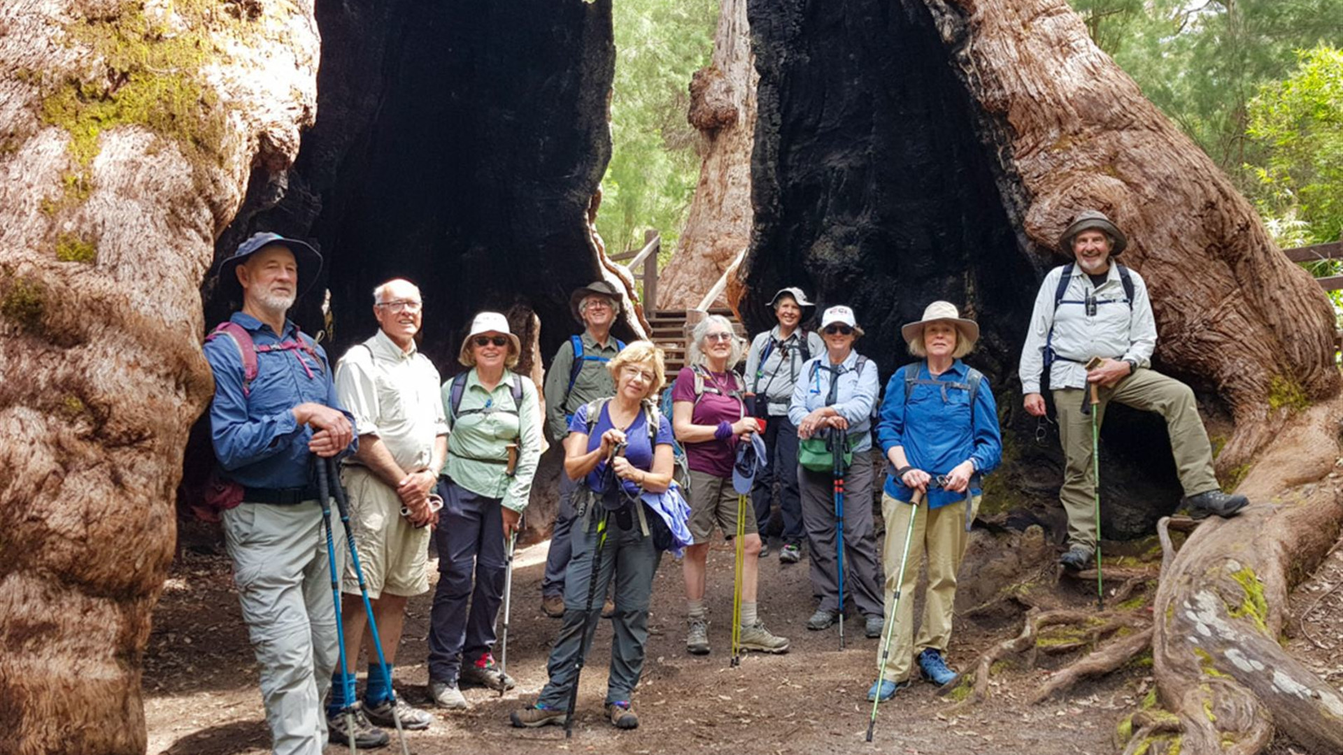 Click to view large image Hike the Bibbulmun Track: Walpole to Denmark