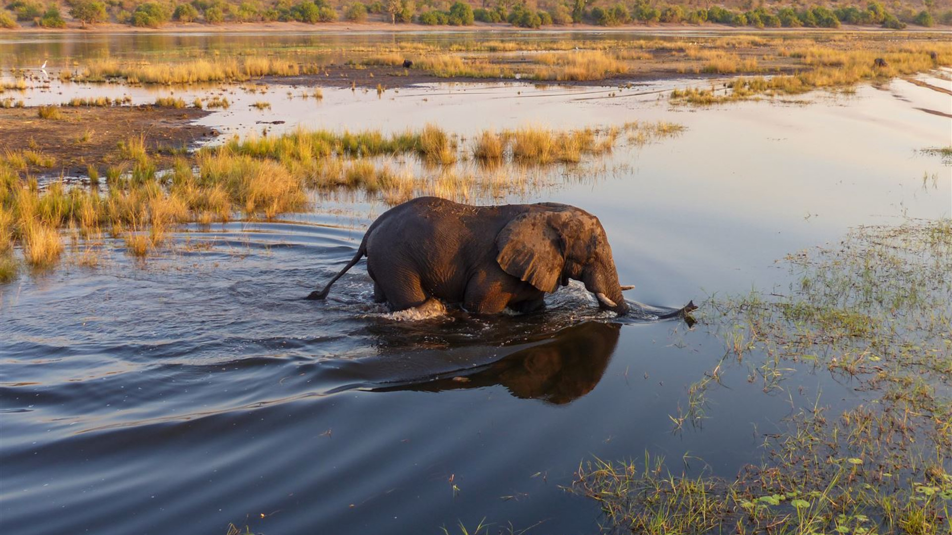 Click to view large image Botswana & Zimbabwe Lodge Safari