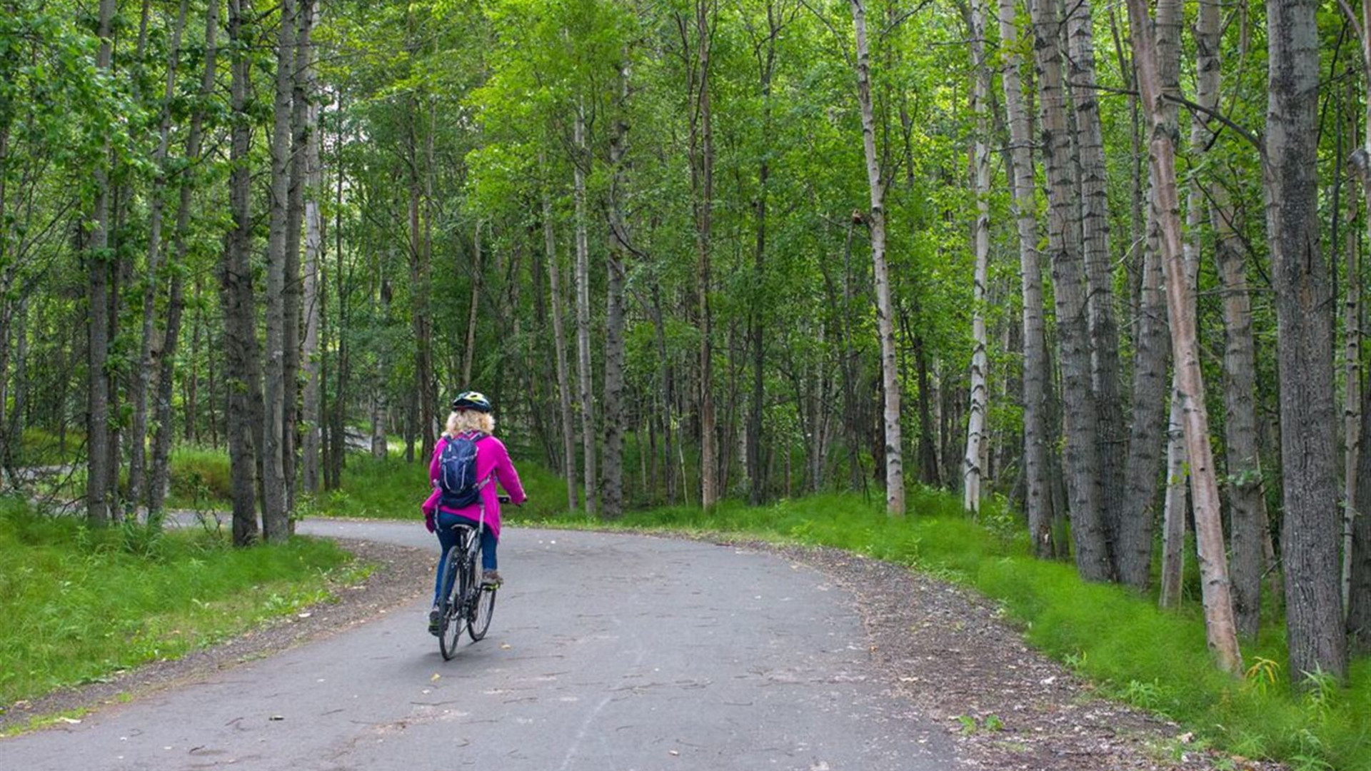 Click to view large image Alaska Hike, Bike & Kayak