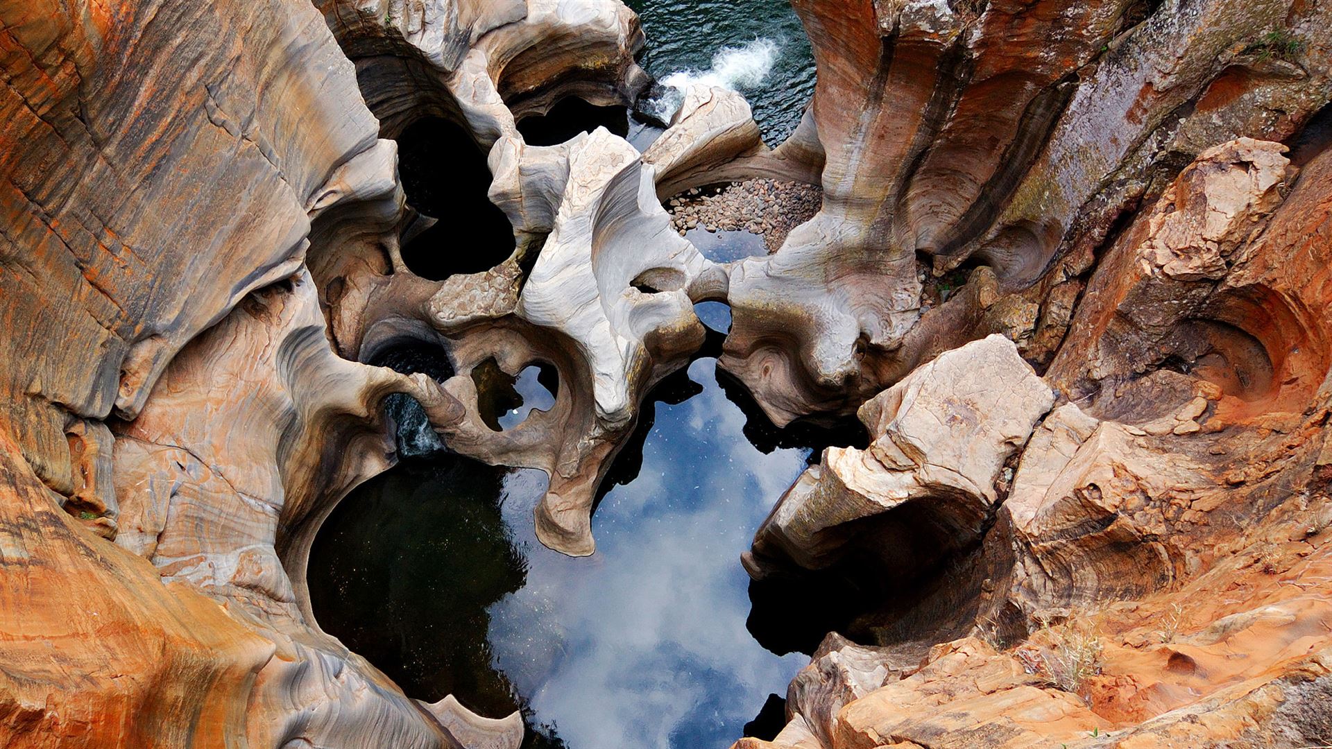 Click to view large image Journeys: Southern Africa Safari Experience