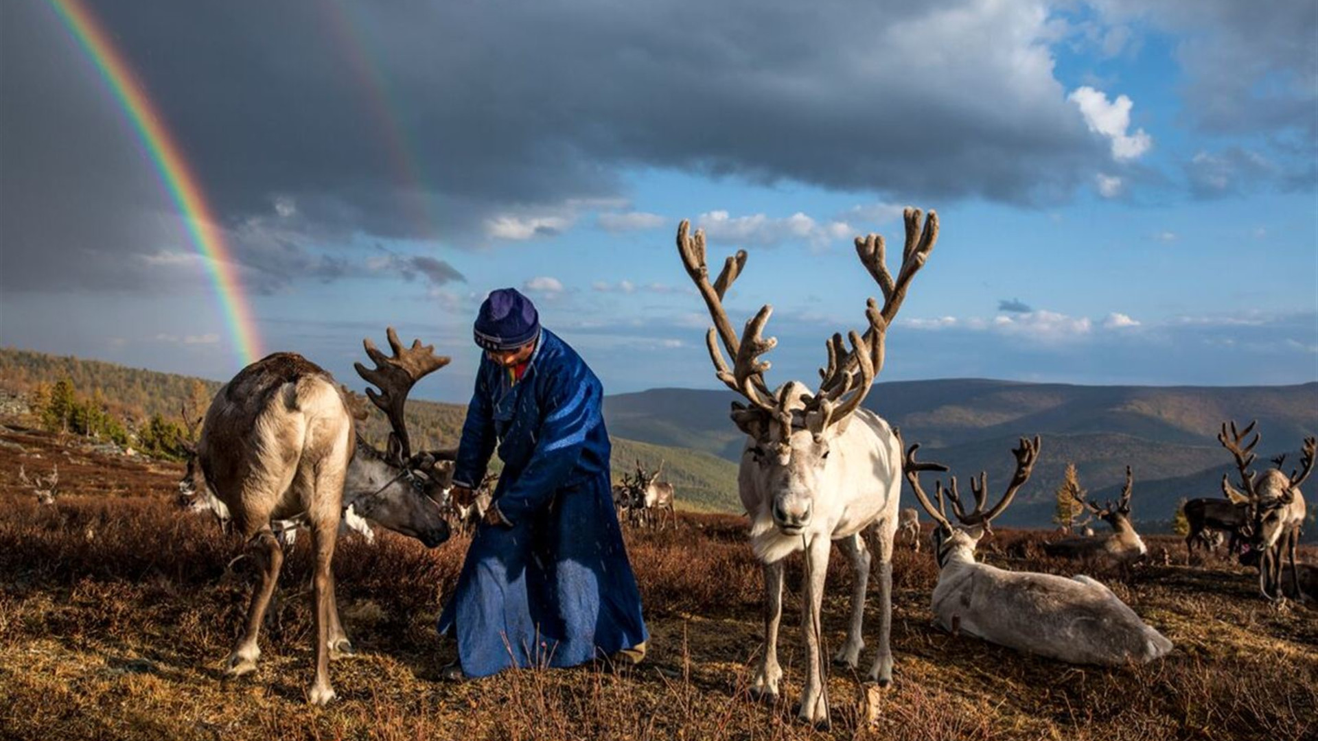 Click to view large image Mongolia Expedition: Reindeer Herders