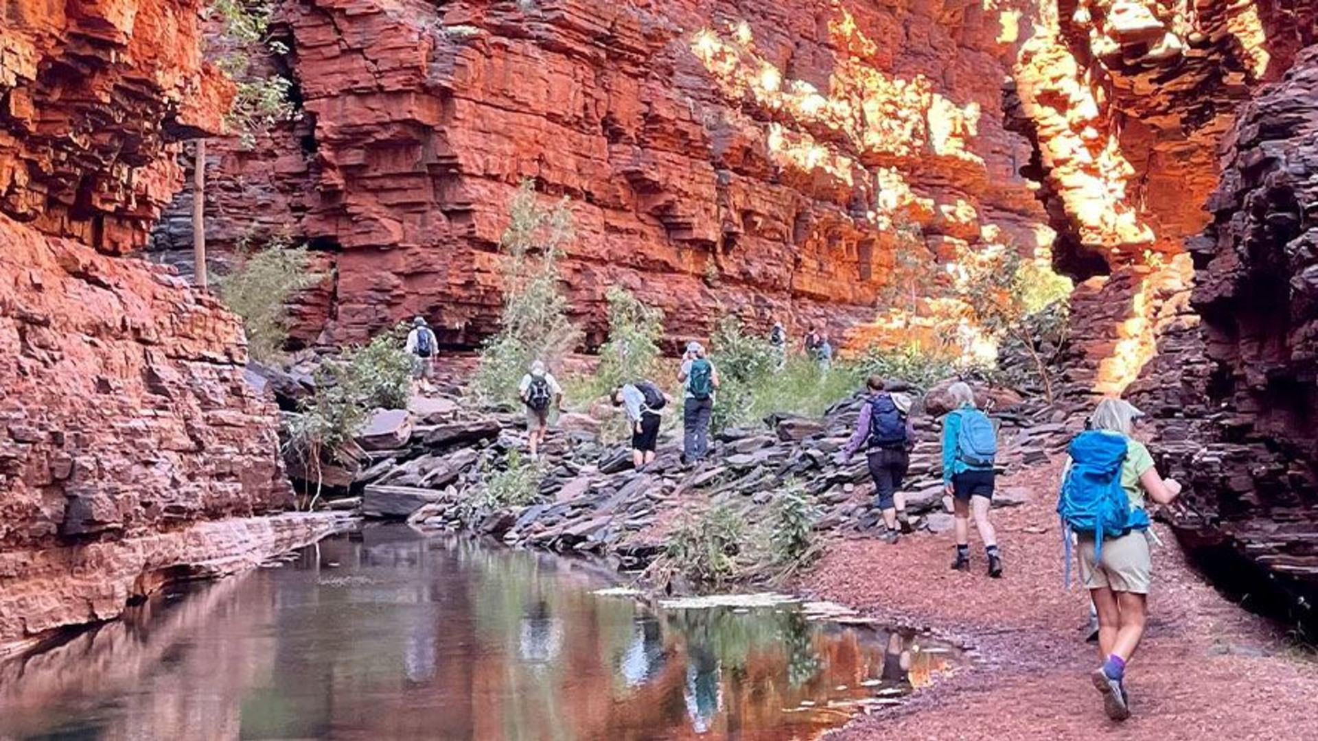 Click to view large image Walk Western Australia's Karijini & Ningaloo Reef