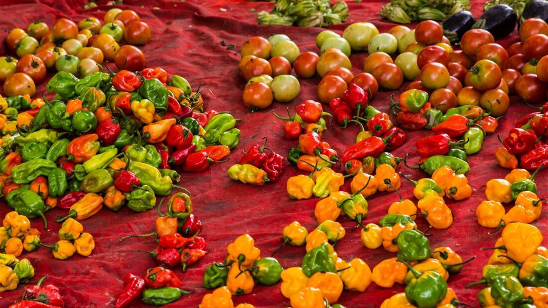 Click to view large image Senegal & The Gambia Adventure