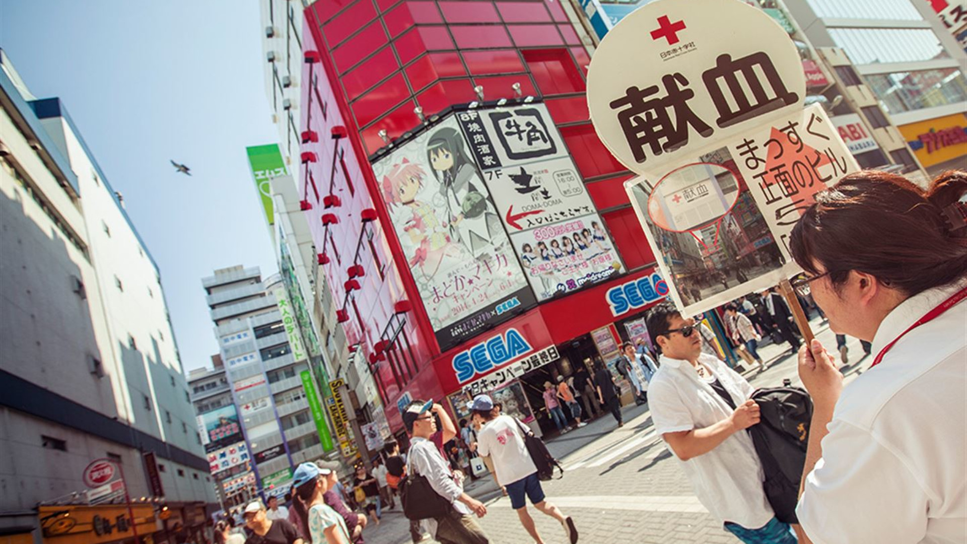 Click to view large image Japan Express – Osaka to Tokyo