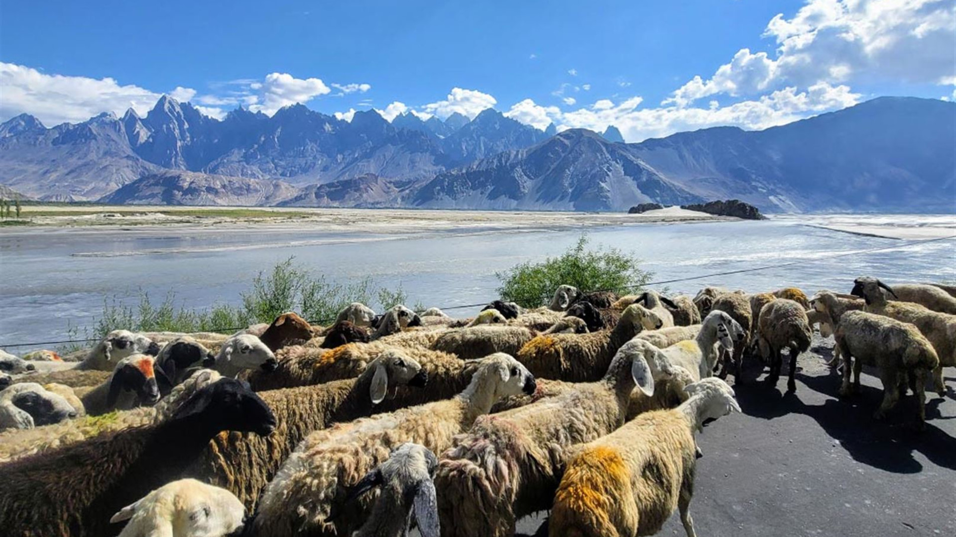 Click to view large image Trek Pakistan's Nangma Valley and Karakoram Mountains