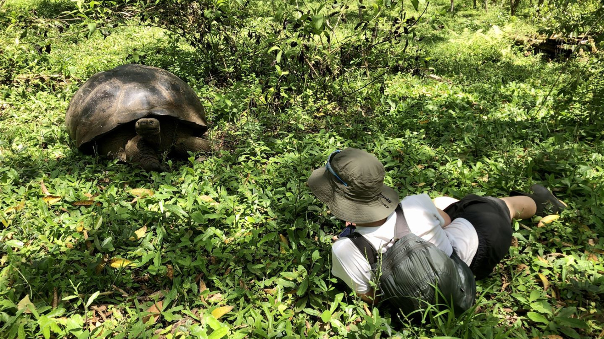 Click to view large image Galapagos — South & East Islands aboard the Eden