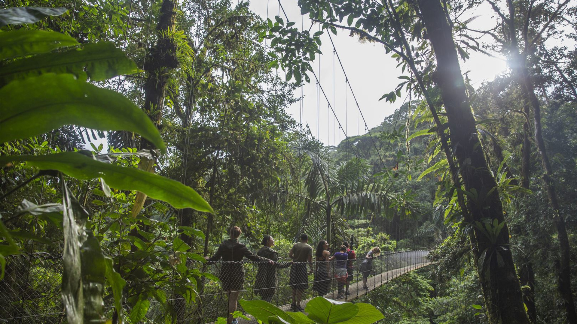 Click to view large image Costa Rica: Monteverde and La Fortuna
